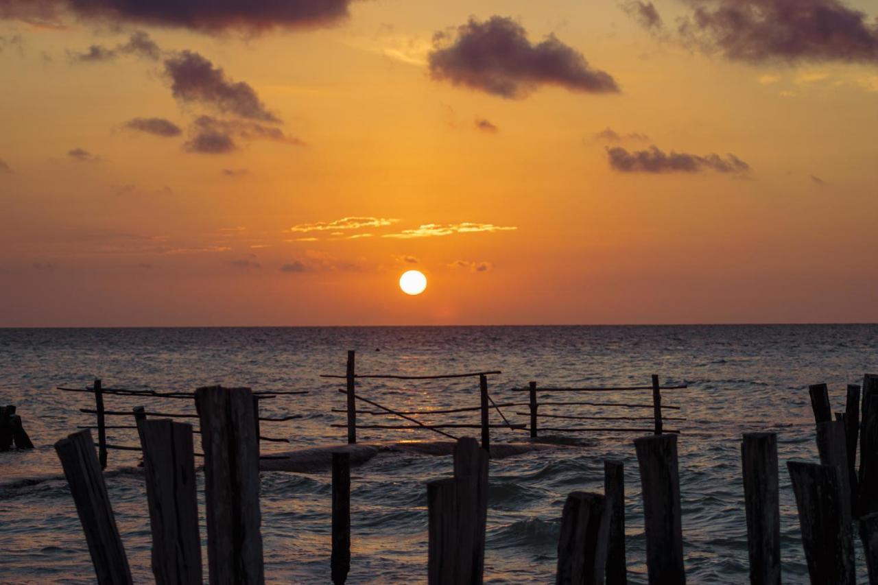 Golden Paradise Hostel Isla Holbox Bagian luar foto