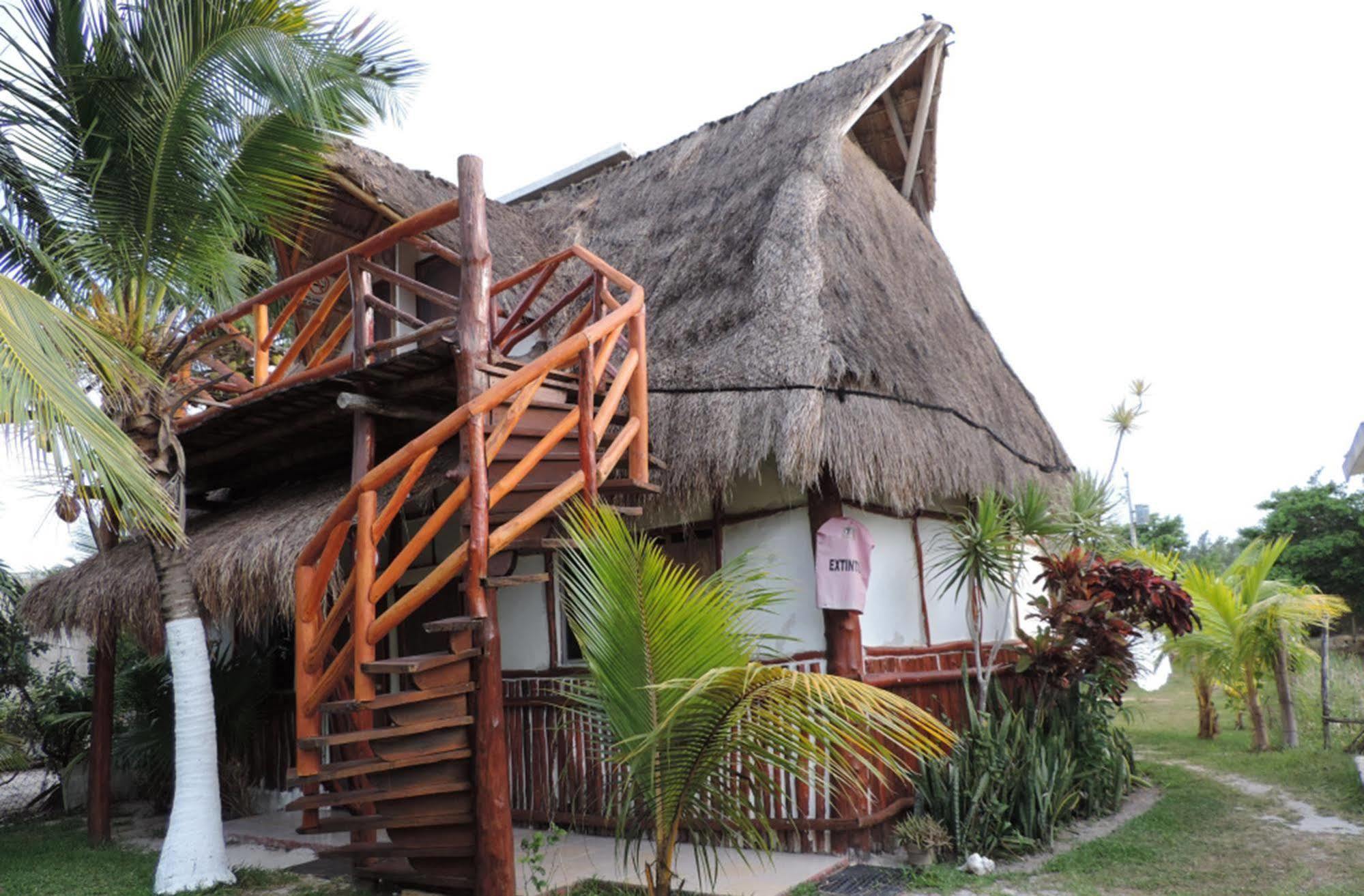 Golden Paradise Hostel Isla Holbox Bagian luar foto